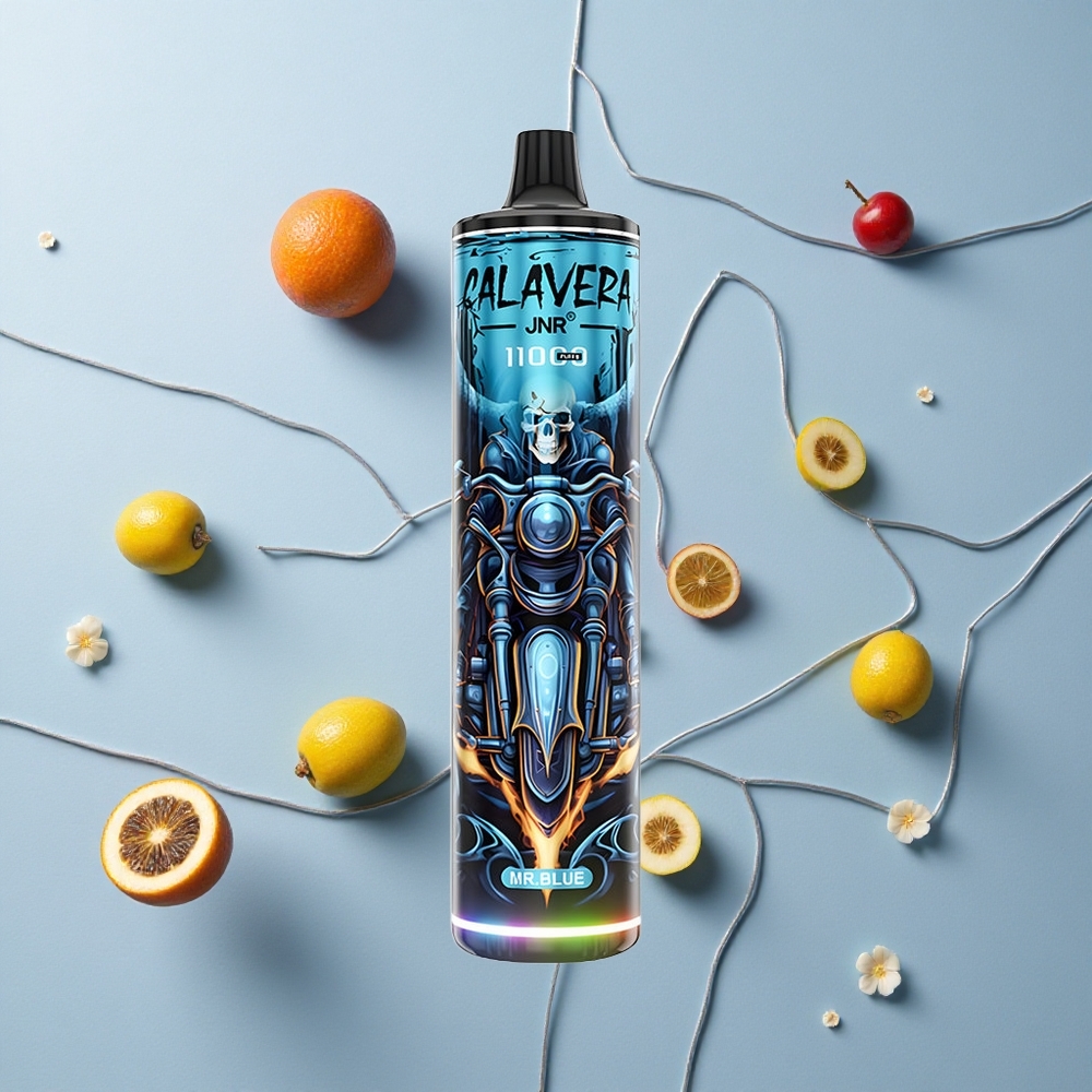 Azul Señor JNR Calavera 11000 Caladas Tipo-C Puerto de Carga 21ml Capacidad de E-Líquido