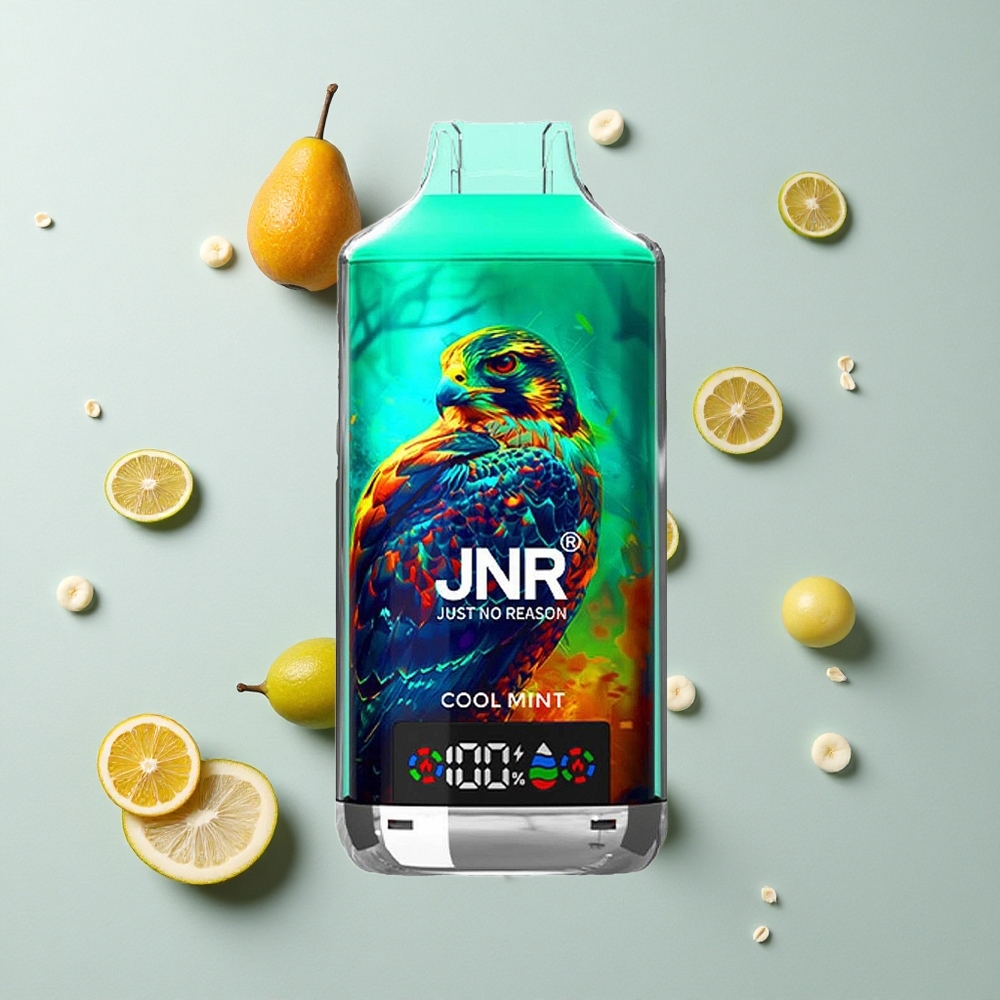 Menta Refrescante JNR Falcon X 18000 Caladas Doble Malla Digital Tipo-C